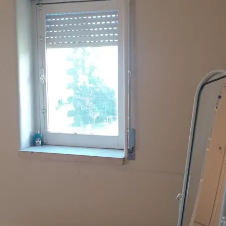 Spot